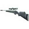 Air Rifle, Hunt Combo Kit