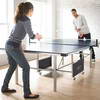 Table Tennis with Basketball Net