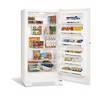 Frigidaire® 21 Cu.Ft. Frost Free Upright Freezer