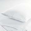 Pacific Coast® AllerRest® Pillow Protector