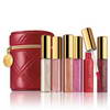 Estée Lauder® Pure Color Gloss to Go