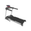 Free Spirit 2.75 CHP Treadmill