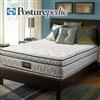 Guilmont Plush Twin Mattress