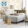 Sealy®  Alanson Queen Mattress Set