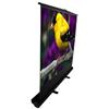 Elite Screens ezCinema Plus 60-Inch 16:9 Portable Projection Screen (F60XWV1)