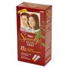 Bigen Speedy Hair Colour Warm Chestnut (HBSPC)