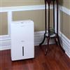 Gree Electronic 33.1 L (70-pint) Dehumidifier