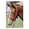 Nylon Adjustable Foal Halter