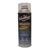 VARATHANE 319g Exterior Clear Gloss Latex