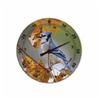 BIOS WEATHER 12" Blue Jay Dial Thermometer