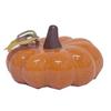 Large Orange Dolomite Pumpkin Decoration