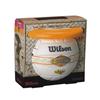 WILSON SPORTS Beach Volleyball and Disc Kit