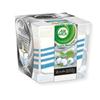 AIRWICK White Berries and Cool Silk Ribbons Candle Air Freshener