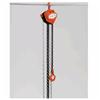 COUNTRY HARDWARE 1 Ton 10' Safe Working Load Chain Hoist