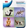 HandStands Yoga Dogs Mouse Pad