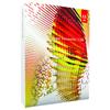 Adobe Fireworks CS6 (Mac) - English