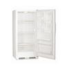 KELVINATOR 17 cu.ft. White Vertical Freezer