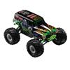 Traxxas Monster Jam 2WD 1/16 Scale RC Truck (7202A) - Grave Digger