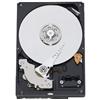 WD SimpleSave 500GB 3.5" Internal Hard Drive (WDBAAX5000ENC-NRSN) - [Web Only]