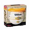 Wilson Endless Summer Volleyball Kit