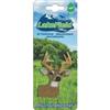 Whitetail Deer Automotive Air Freshener