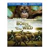 Disneynature: African Cats (Blu-ray Combo) (2011)