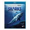 IMAX - Search for the Great Sharks (1999) (Blu-ray)