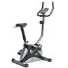 Free Spirit Recumbent Exercise Bike