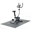 Free Spirit Upright Exercise Bike