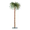 Avenue Noël(TM) 6' Single Pre-lit Christmas Palm Tree