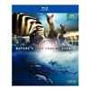 Nature's Most Amazing Events (Blu-ray)