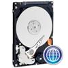 WD Blue (WD5000LPVT) 500GB SATA 5400 RPM 8MB Cache 2.5" Laptop Hard Disk (OEM)