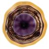 Fine Art Lighting Horizon Art Glass Plate (4263) - Purple/ Yellow