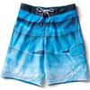 Speedo® 'Solar Wave' Board Short