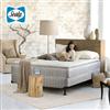 Sealy® Alanson Mattress Set - Queen