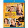 Best Exotic Marigold Hotel (Blu-ray) (2012)