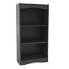 Sonax Hawthorn 48" Bookshelf (S-007-NHL) - Black