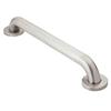 Moen Home Care 1-1/2 Inch Concealed Screw 18 Inch Securemount Grab Bar In Stainless Steel Peened