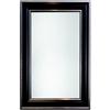 Erias Home Designs Spectrum Mirror