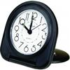 EAGLE CREEK Travel Clock