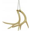 BUCK EXPERT Deer Antlers