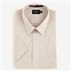 Haggar® Classic Fit Short Sleeve Striped Dress Shirt