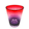 style factory™/MCwholeHome style factory (TM/MC) Viva Collection Ombre Double Old Fashioned Glass