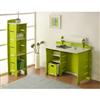 Gabby Student Desk and Bookcase Green and White