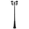 Fusion Solar 2-head LED Street Lamp