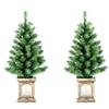 INSTYLE HOLIDAY 2 Pack 3' Prelit Twinkle Porch Christmas Trees