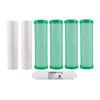 Watts Environmentally Friendly Green Annual Replacement Kit with Final Filter