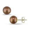 Miadora 8-8.5 mm Freshwater Cultured Chocolate Round Pearl Earrings in 10 K Yellow Gold