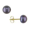 Miadora 6-6.5 mm Freshwater Black Button Pearl Earrings in 10 K Yellow Gold
