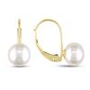 Miadora 7-7.5 mm Freshwater Button Pearl Earrings in 10 K Yellow Gold